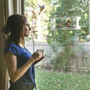 Comedero para pájaros de ventana: vista clara de aves silvestres