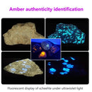 Alonefire SV77 10W 365nm UV Flashlight Ultraviolet Black Light Pet Moss Detector For Cat Dog Stains Bed Bug Moldy Food
