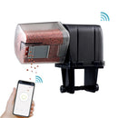 Alimentador automático para acuarios con wifi 