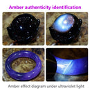 Alonefire SV77 10W 365nm UV Flashlight Ultraviolet Black Light Pet Moss Detector For Cat Dog Stains Bed Bug Moldy Food