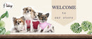 Personalized Dog Collar Leash Set Durable Genuine Leather Dog Collars Engraved Pet ID Necklace With Lead For Small Large Dogs