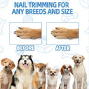 Wooden Pet Scratching Board for Dogs with Built-in Treat Box Nail Trim Pad Pull-Out Design Sandpaper Surface Scratch Toy