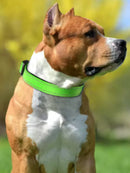 Reflective Dog Collar Strap with Adjustable Safety Nylon Pet Collar Pet Traction Rope Suitable for Small and Medium-Sized Pets