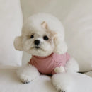 Autumn and Winter Dog Base Shirt Cute Love Bear Teddy Yorkshire Hoodie Dog Cat Pet Love Warm Clothes Designer Dog Clothes
