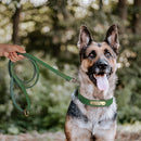Personalized Dog Collar Leash Set Durable Genuine Leather Dog Collars Engraved Pet ID Necklace With Lead For Small Large Dogs