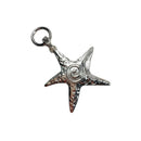 Retro Y2K Starfish Pendant Keychain Silver Plated Star Fish Charm Beach Keychain Ocean Purse Bag Keychain