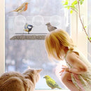 Comedero para pájaros de ventana: vista clara de aves silvestres