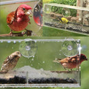 Comedero para pájaros de ventana: vista clara de aves silvestres