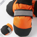 Botas para mascotas: ¡protege a tu mejor amigo, sin importar la temporada!