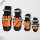 Botas para mascotas: ¡protege a tu mejor amigo, sin importar la temporada!