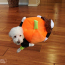 Disfraz de perro que lleva calabaza